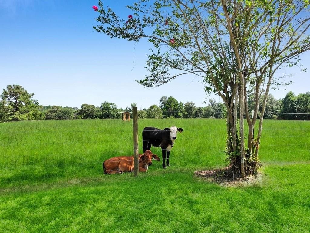 33.45 acres in Texas County