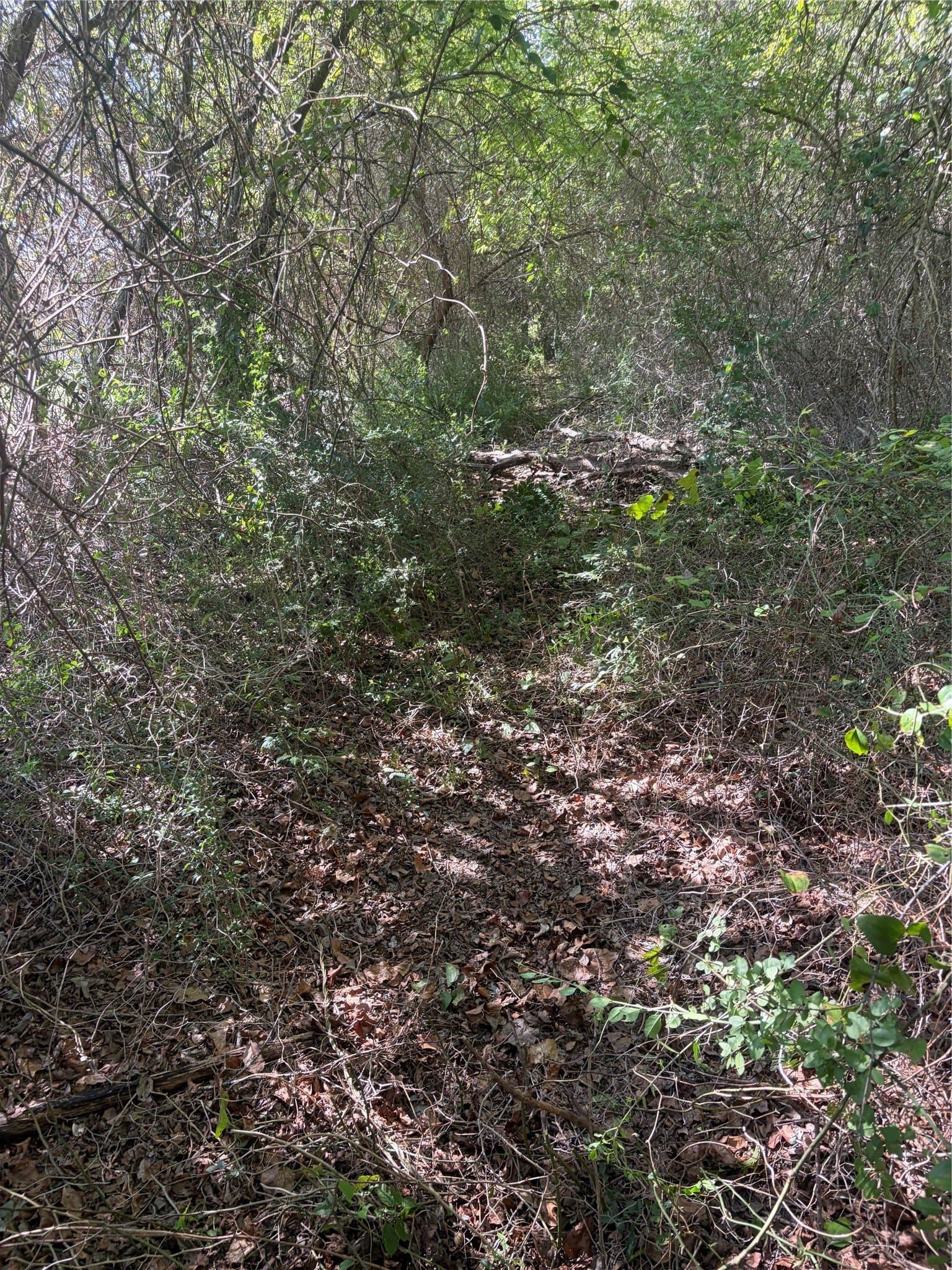 0.35 acres in Cherokee County