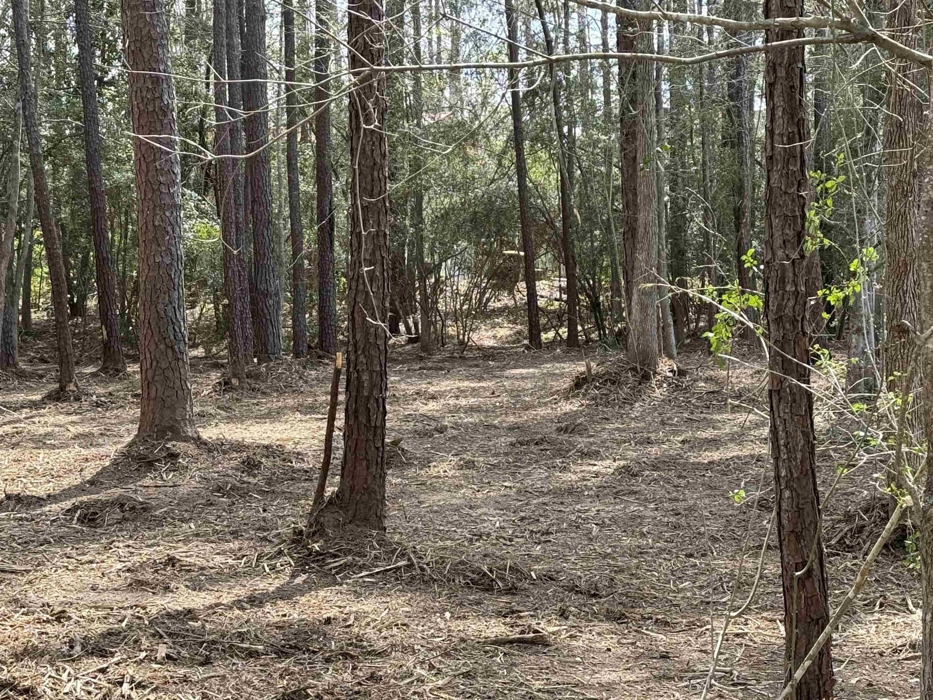 0.41 acres in Texas County