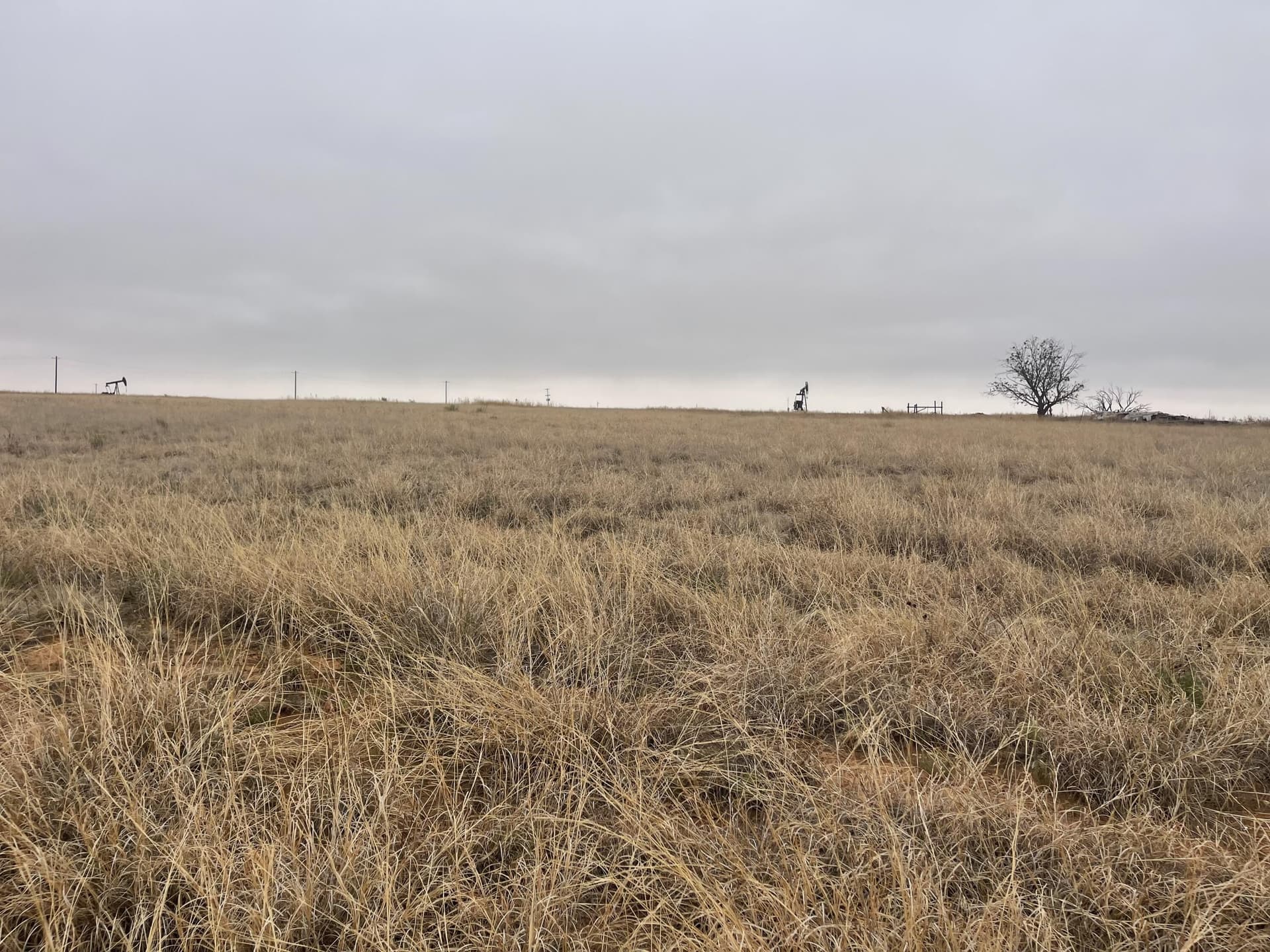 339.5 acres in Lubbock County
