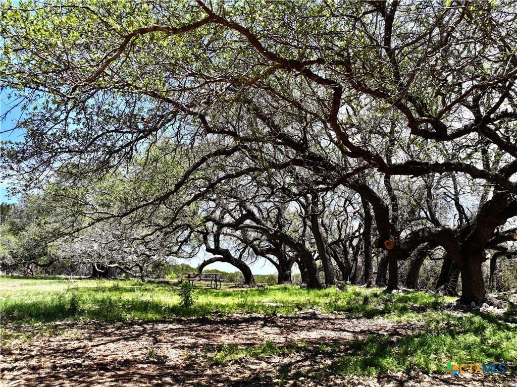 10 acres in Burnet County