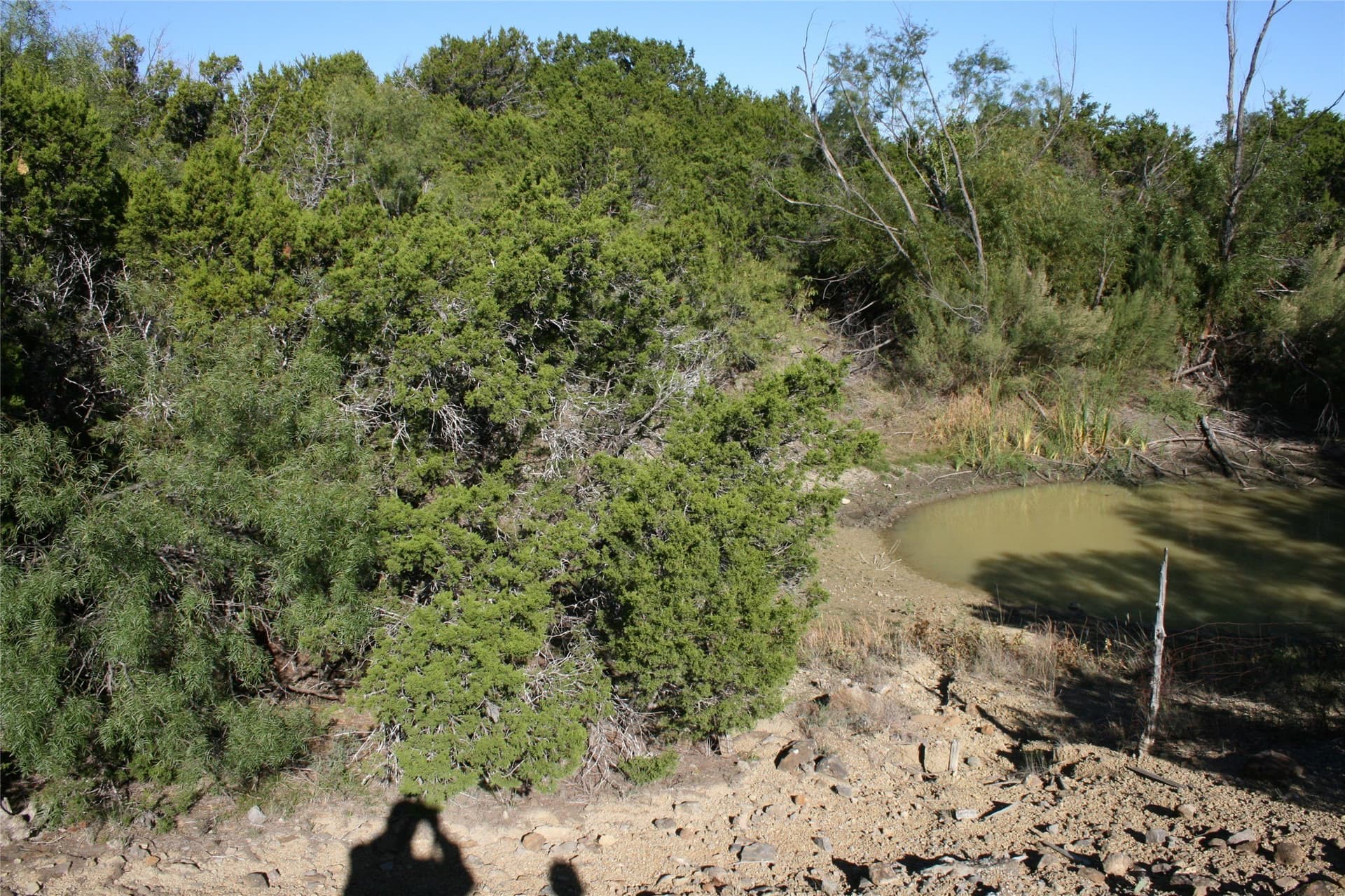 6.73 acres in Palo Pinto County