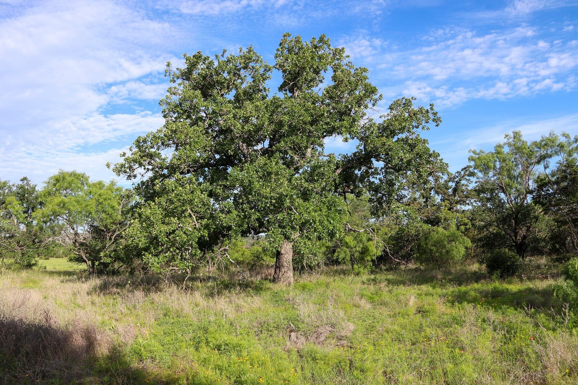 5.07 acres in Burnet County
