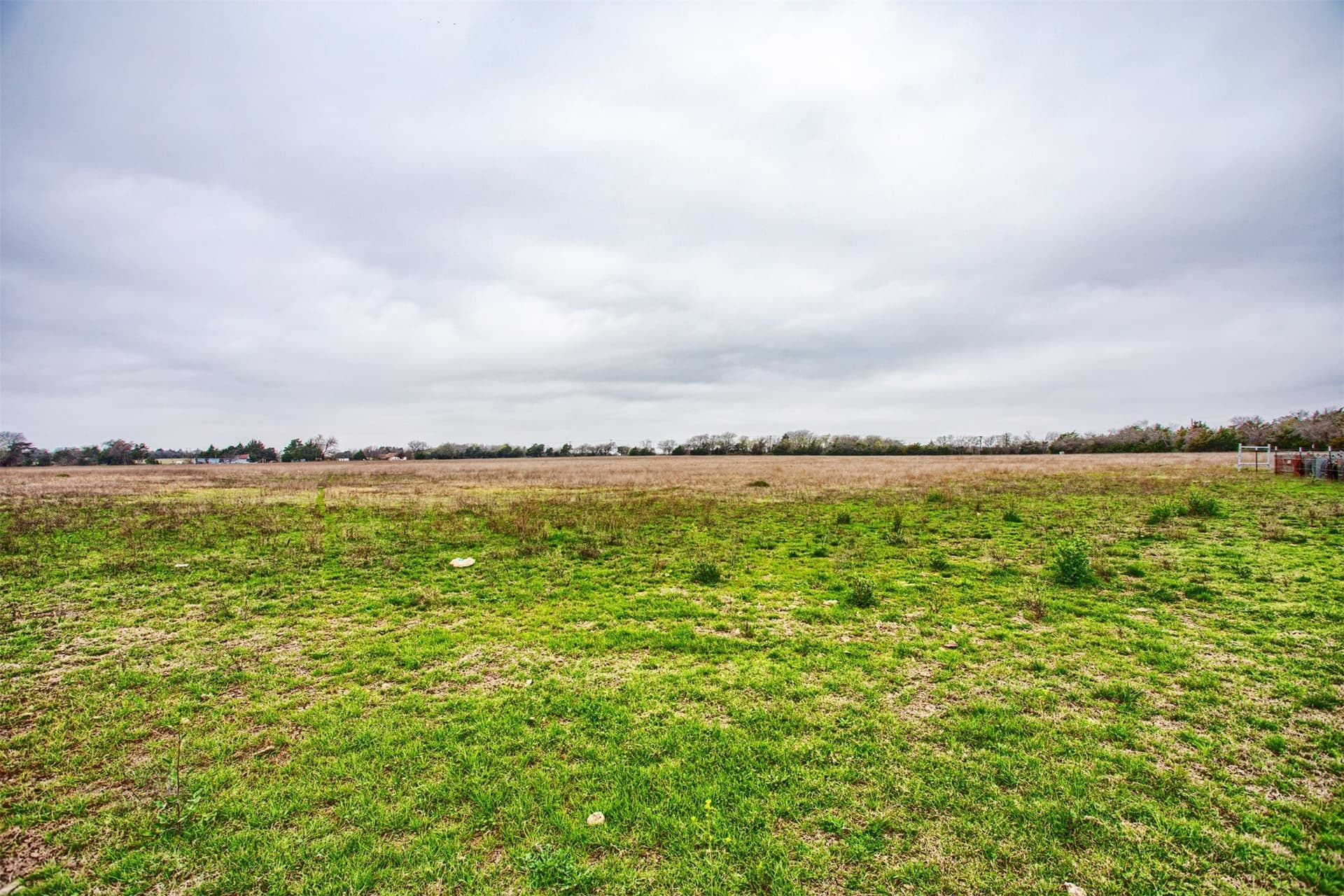 86.25 acres in Dallas County
