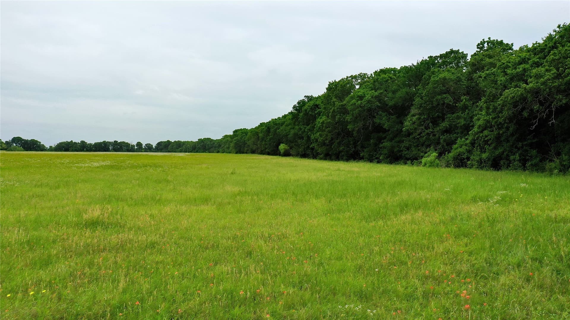 38.16 acres in Johnson County