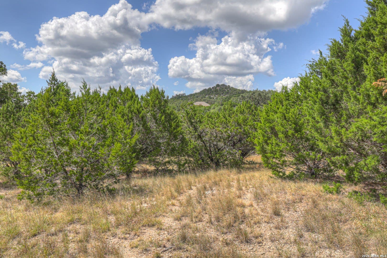 0.84 acres in Comal County