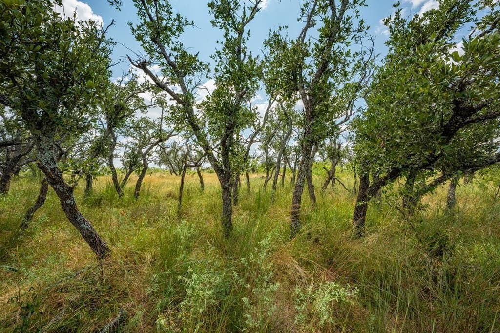 20.91 acres in Menard County