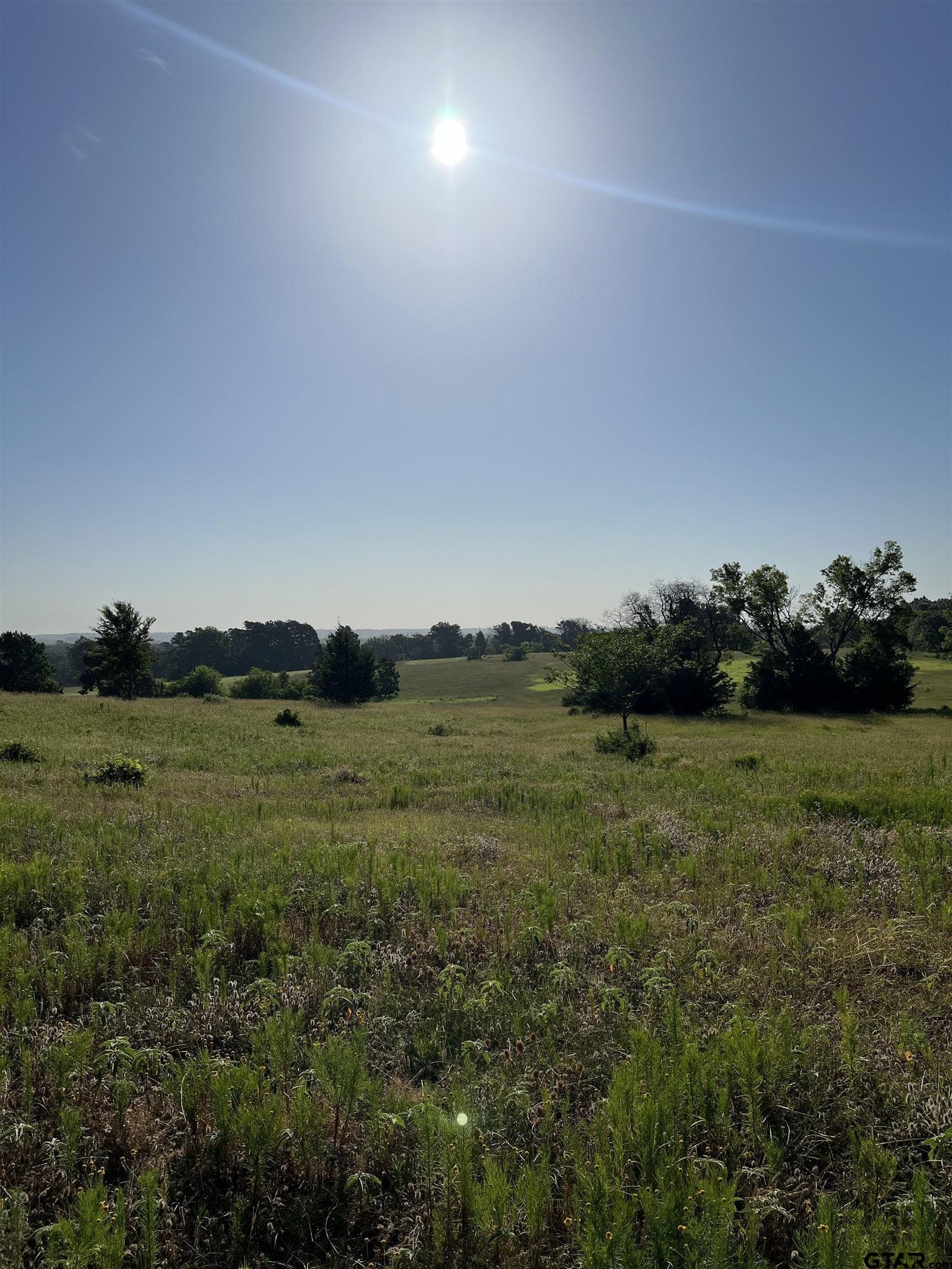 46.89 acres in Smith County