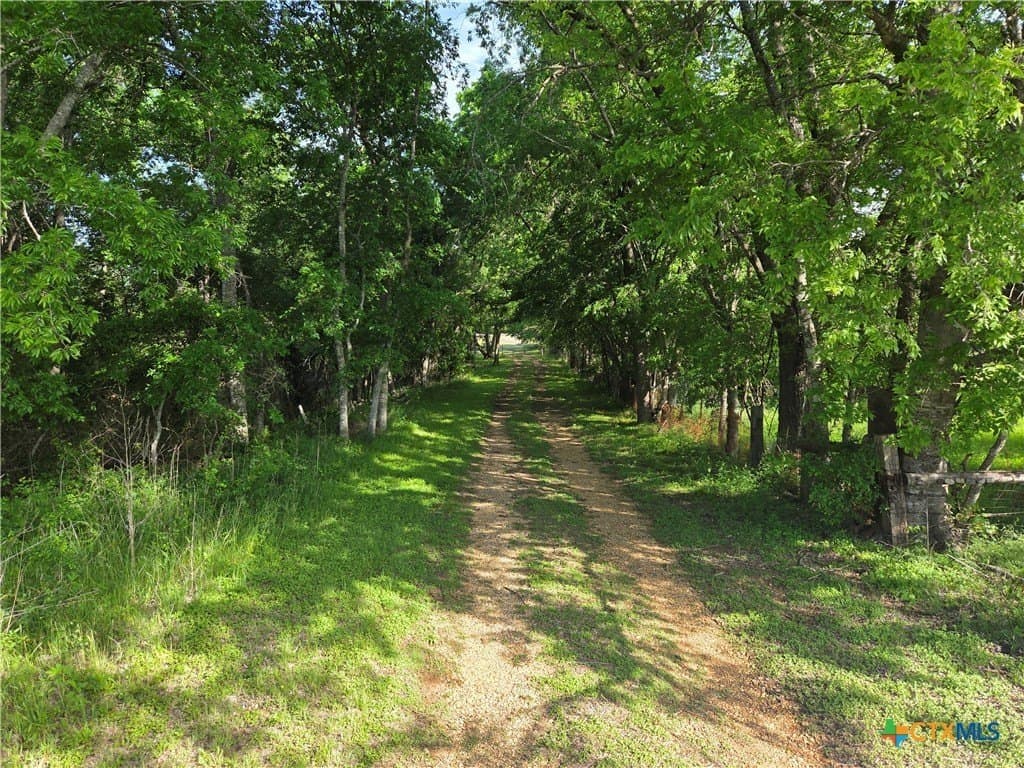 10 acres in Milam County