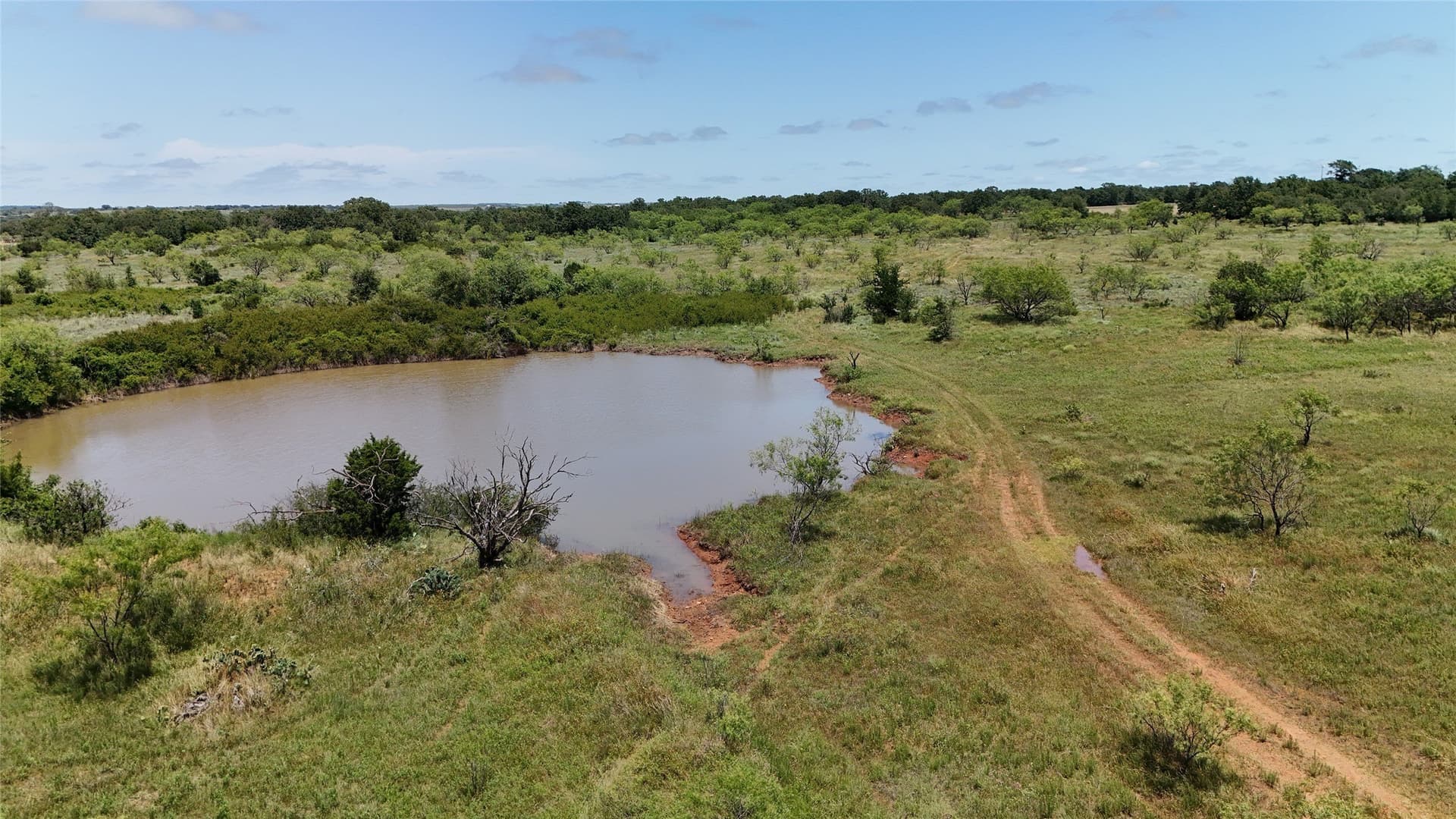 103.56 acres in Young County
