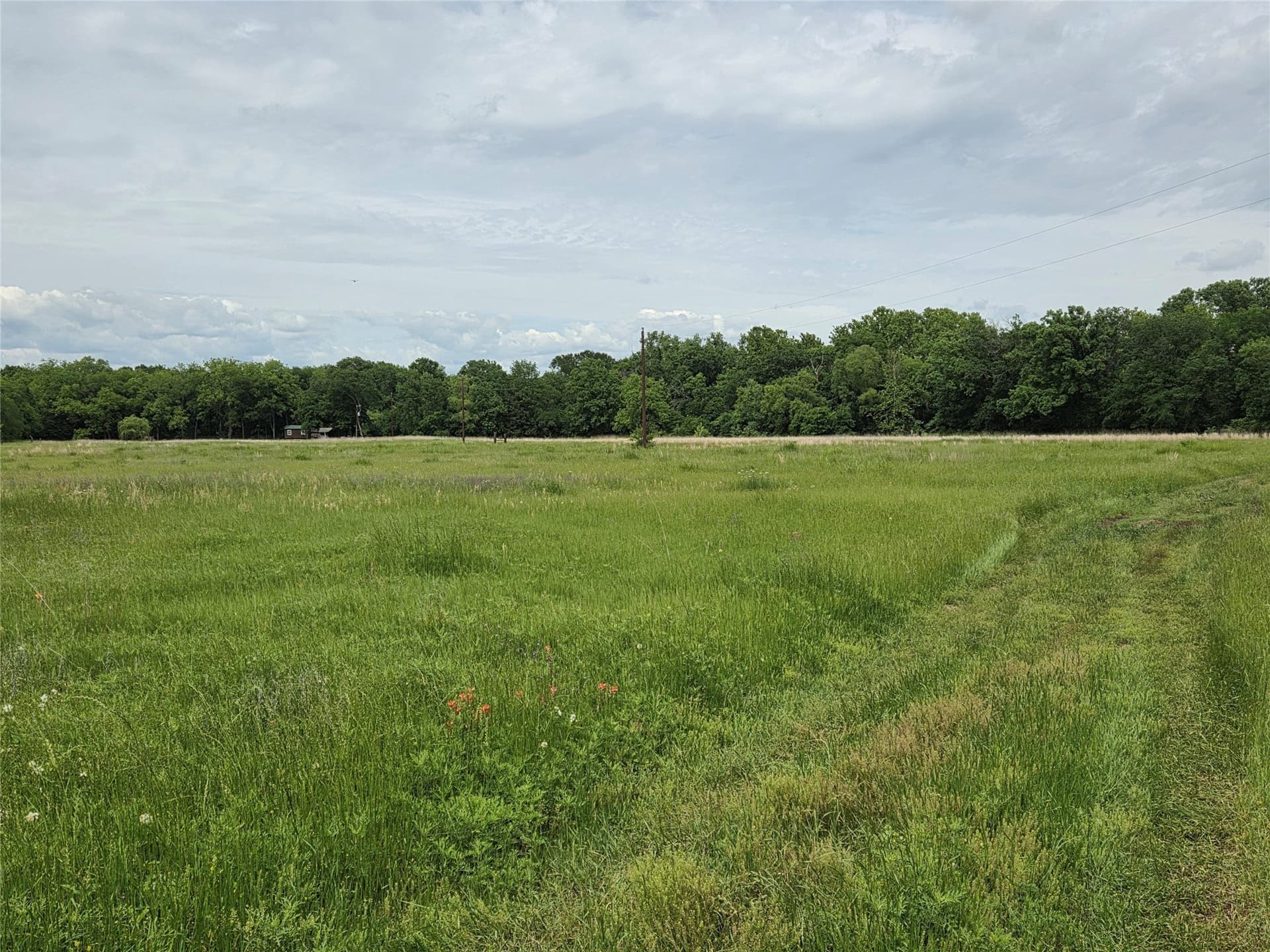 34.93 acres in Fannin County