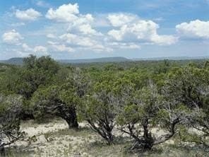 15 acres in Somervell County