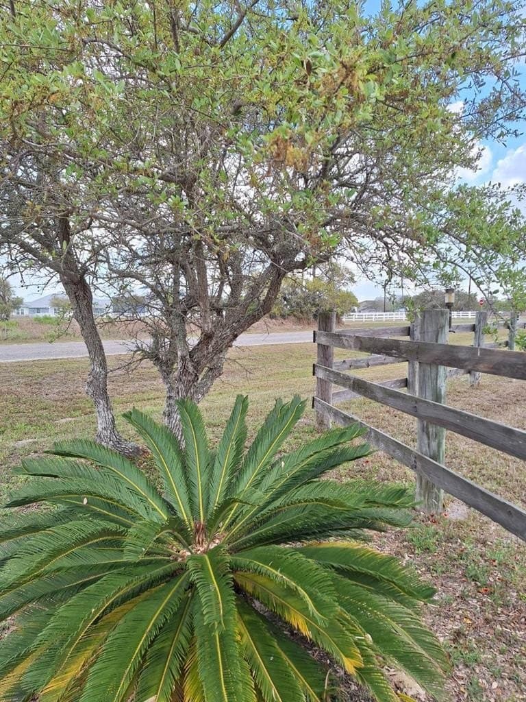 14.19 acres in Texas County