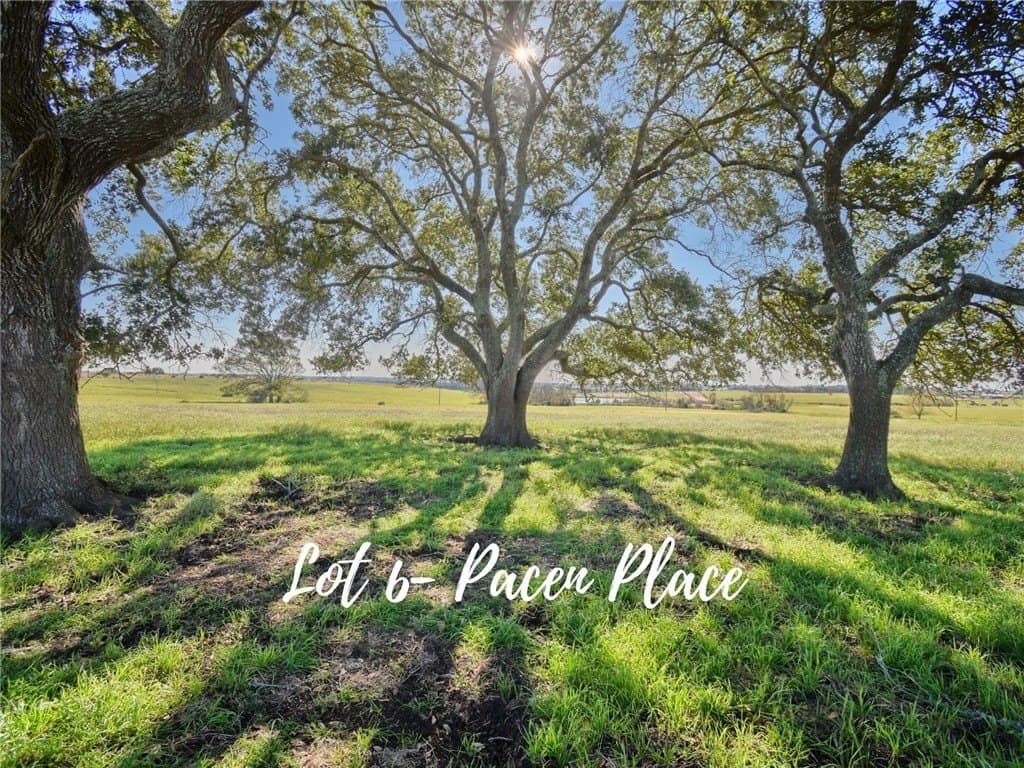 18.37 acres in AUSTIN County