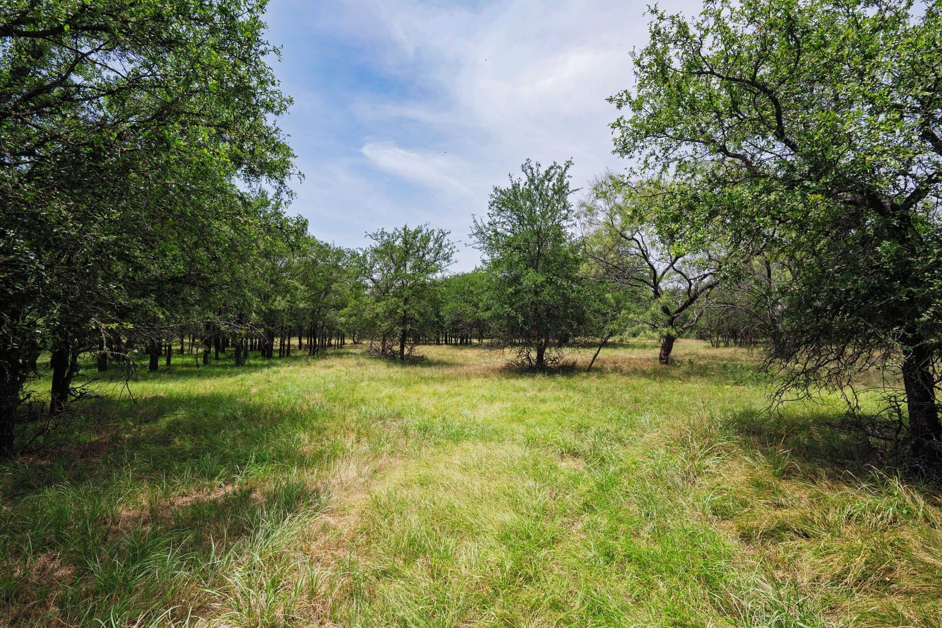 26.02 acres in Palo Pinto County