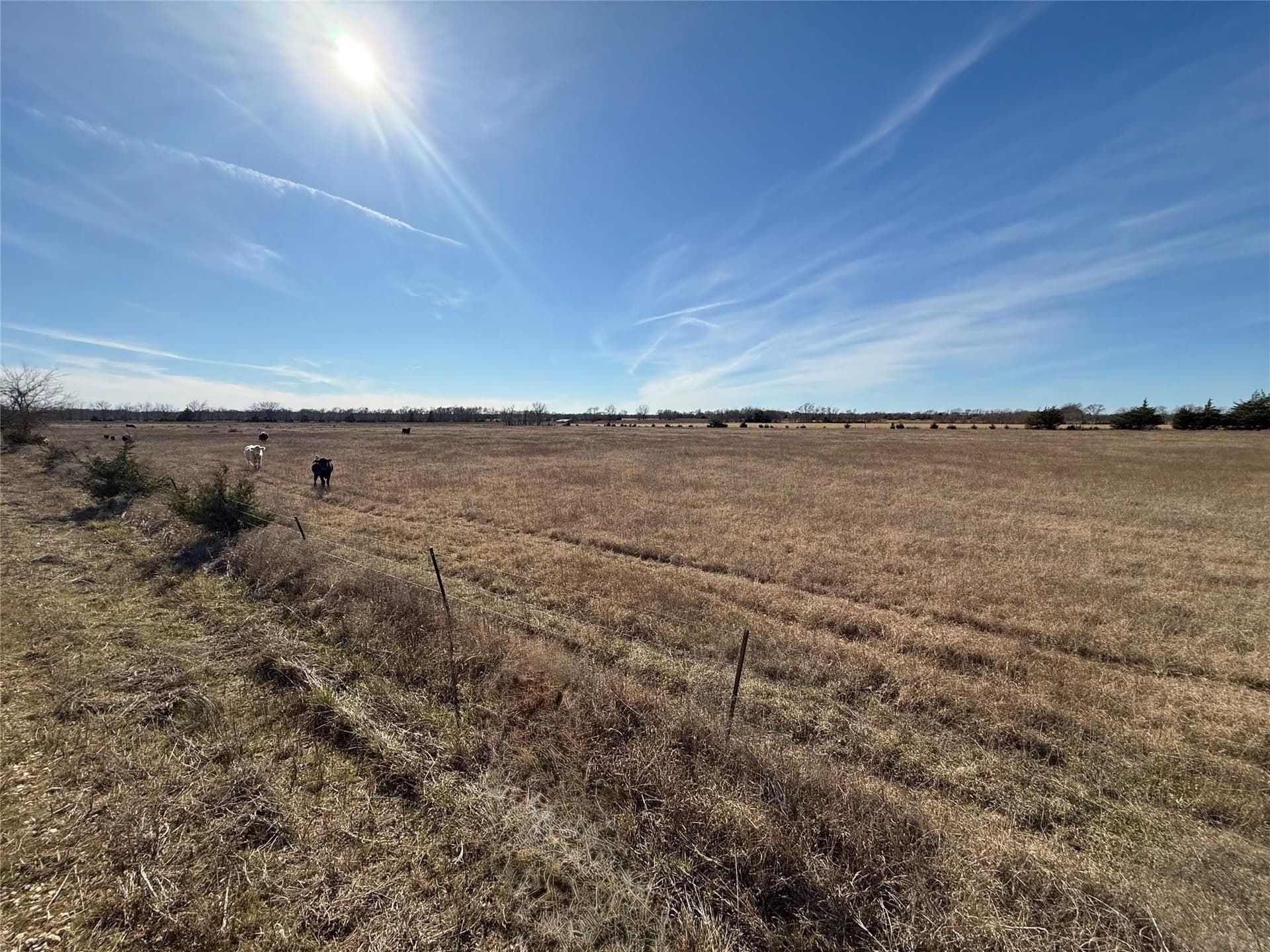 35.17 acres in Lamar County