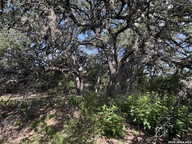 3.05 acres in Comal County