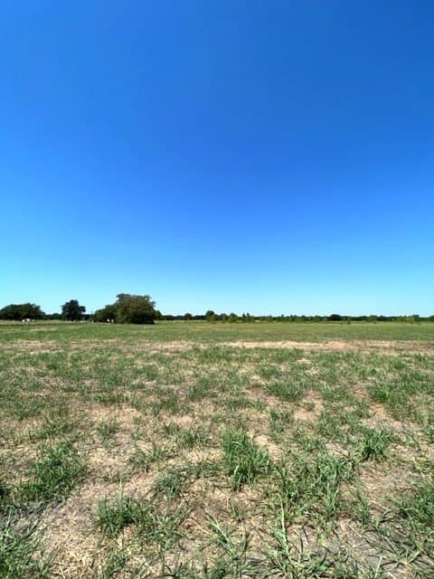 5.02 acres in Fannin County