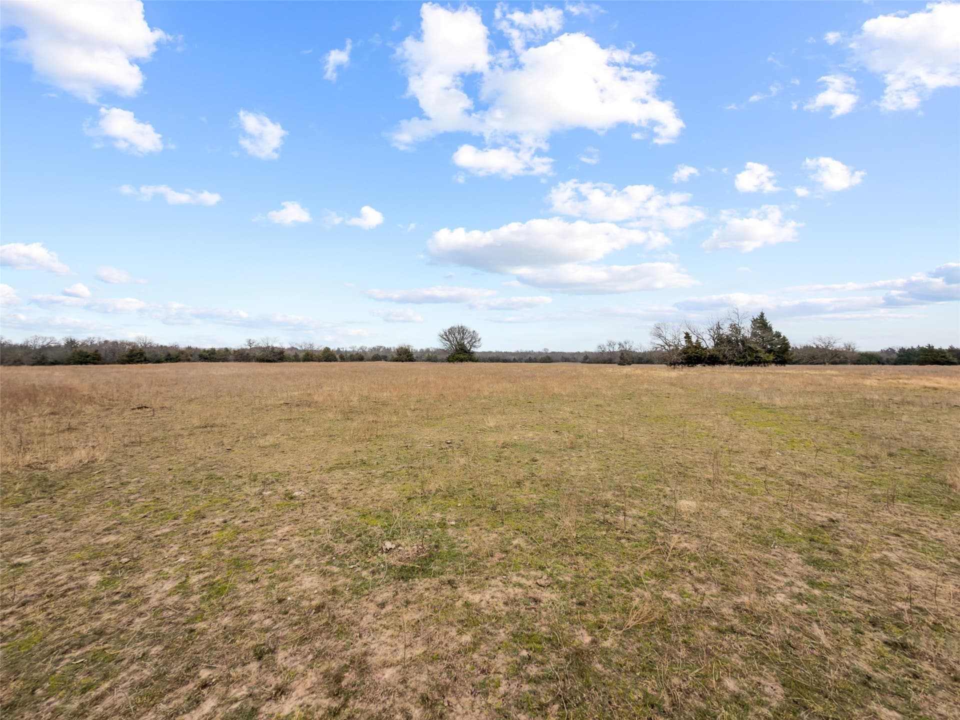25.88 acres in Fannin County