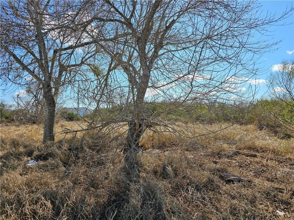 0 acres in Refugio County
