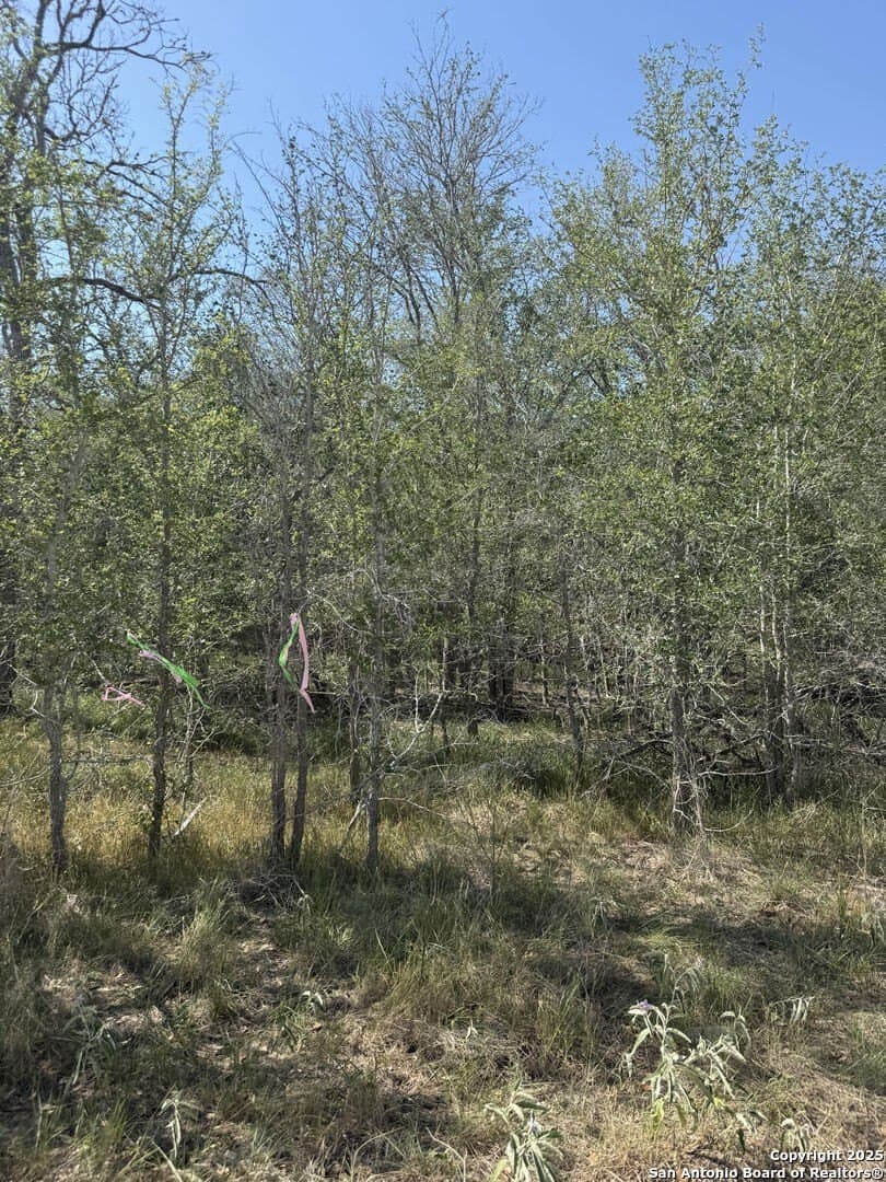 0.32 acres in Wilson County