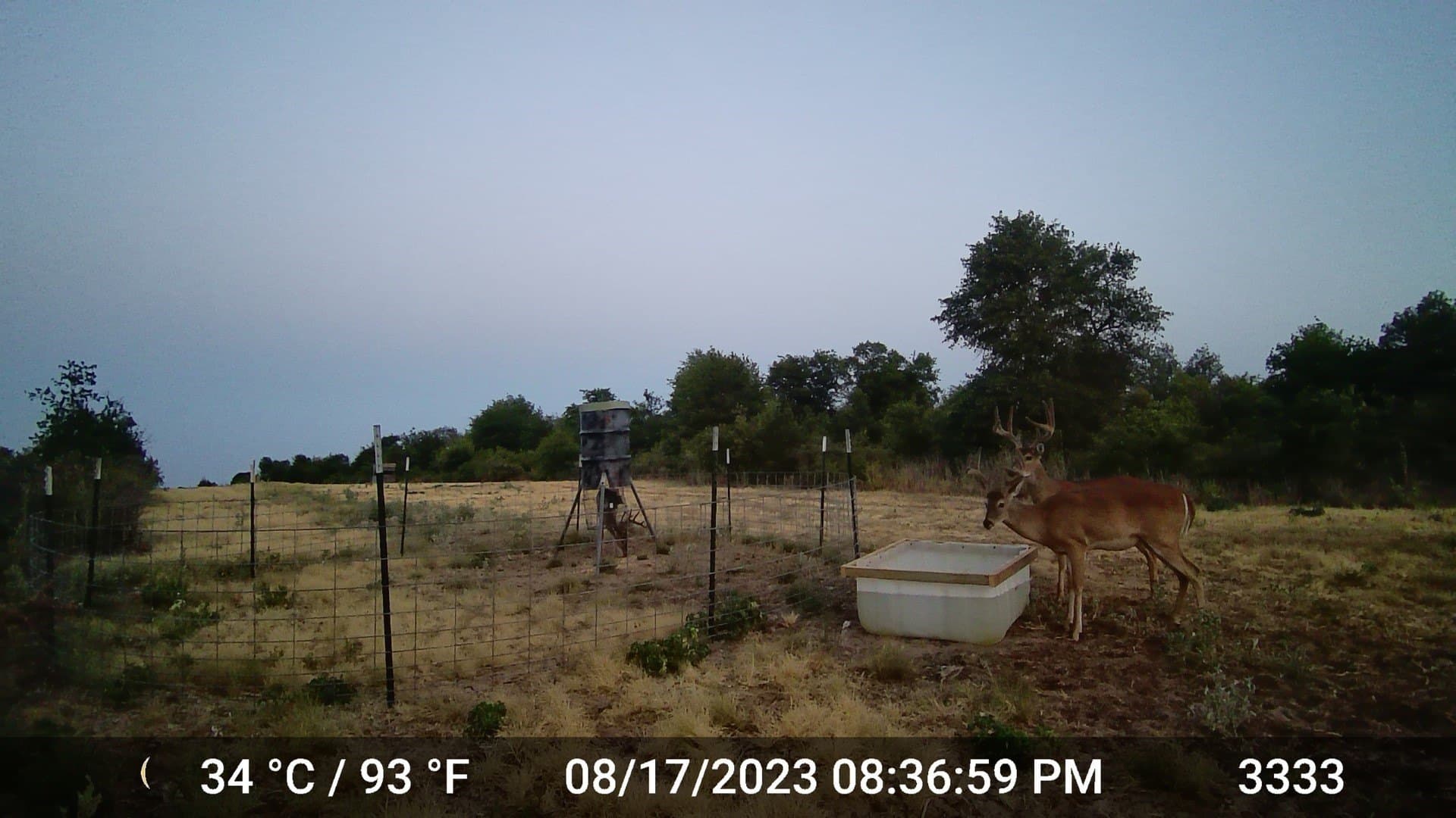 20 acres in Jones County