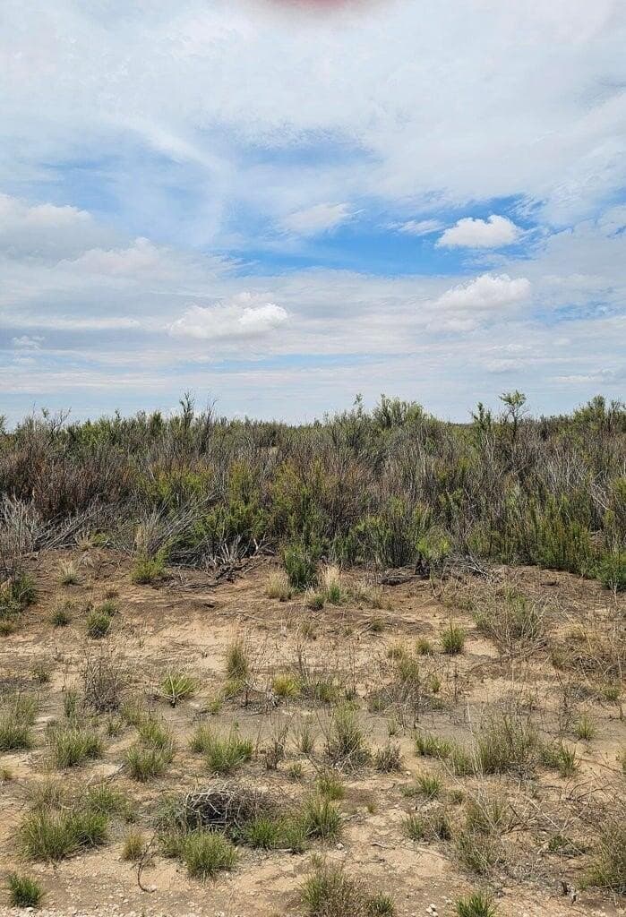 10 acres in Terry County