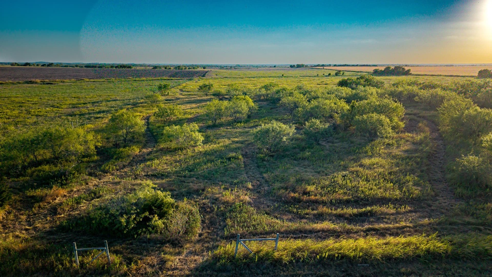 23.9 acres in Ellis County