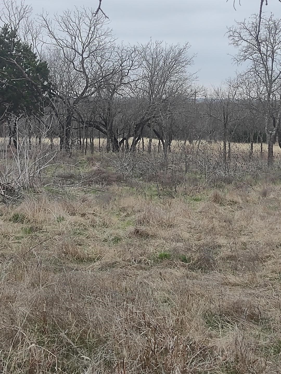 0.69 acres in Hill County