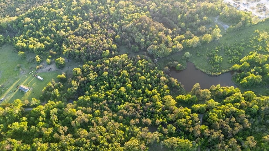 16 acres in Texas County