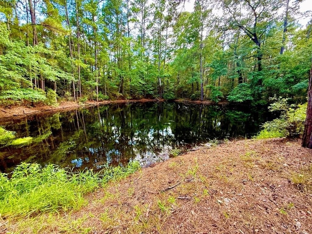 46.25 acres in Texas County
