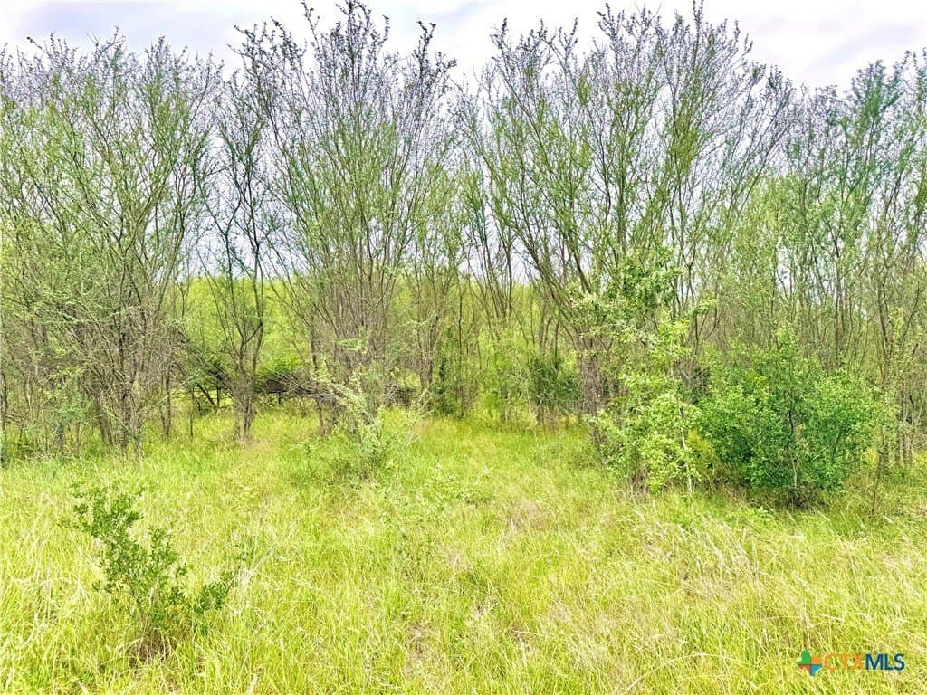 10.35 acres in Gonzales County