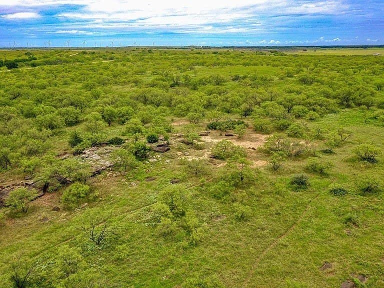 48.5 acres in Jack County