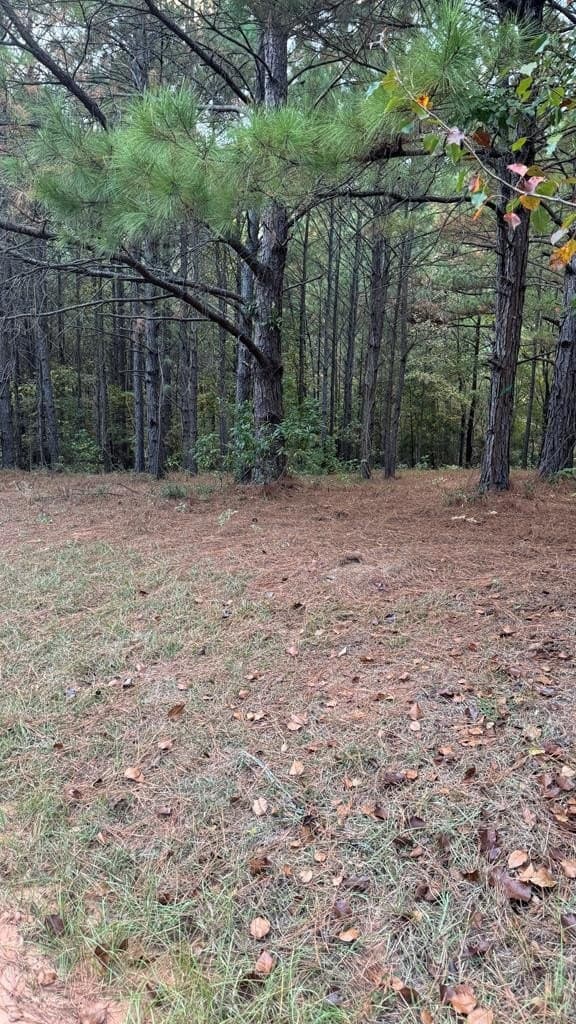 0.25 acres in Texas County