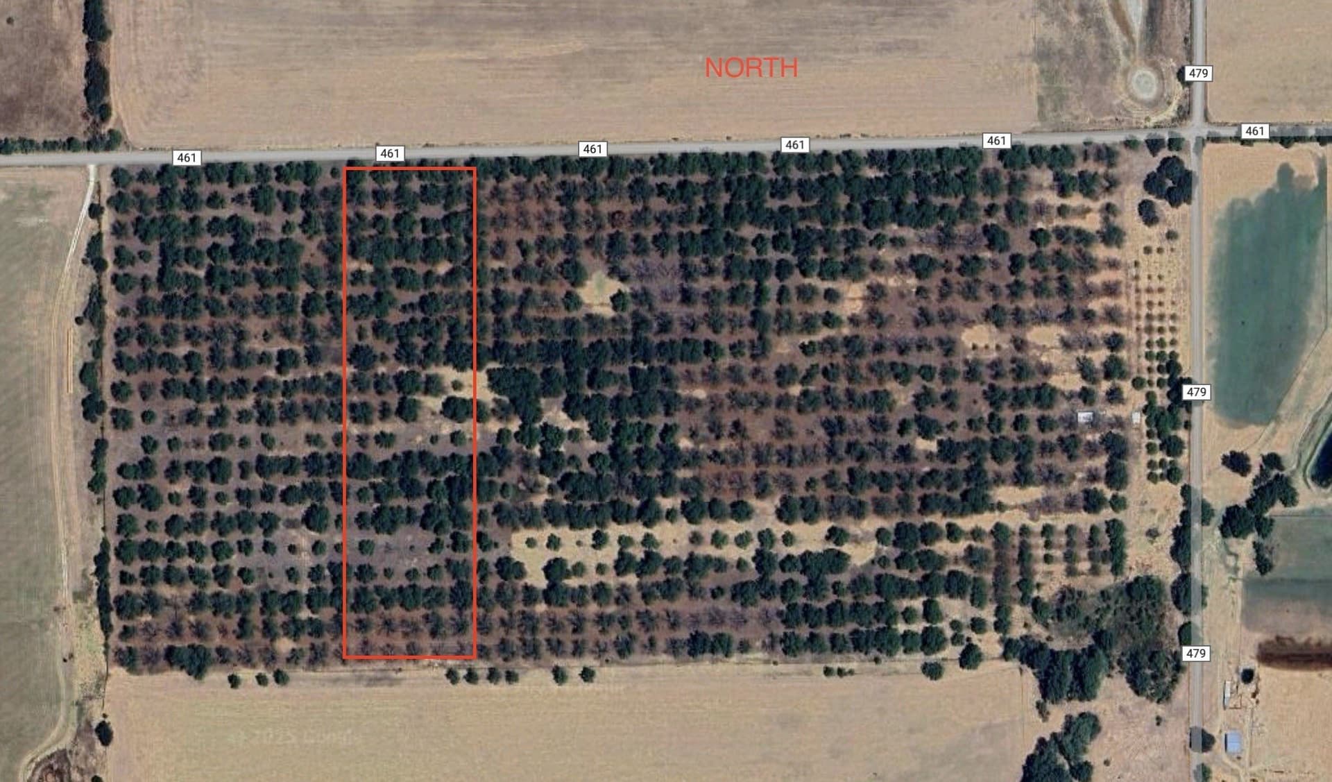 10.3 acres in Comanche County
