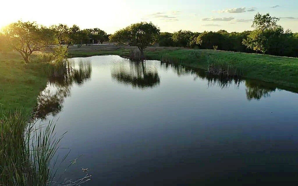 830 County Road 339