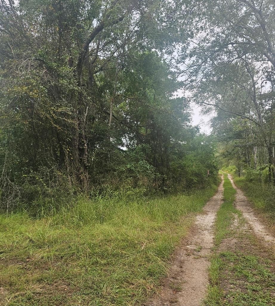 2 acres in Texas County
