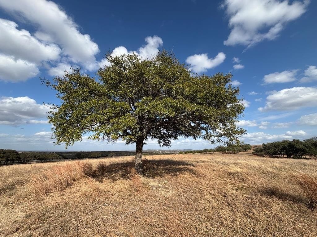 10.01 acres in Gillespie County