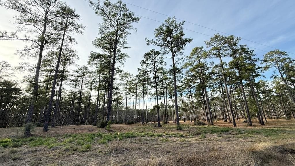 1.14 acres in Texas County