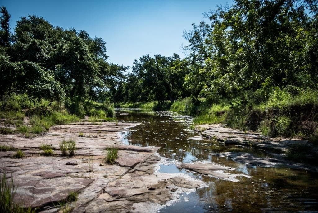 65 acres in Gillespie County