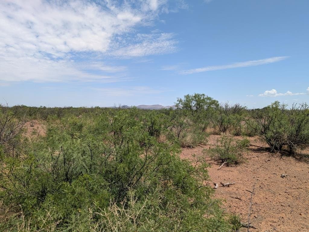 0.65 acres in Jeff Davis County