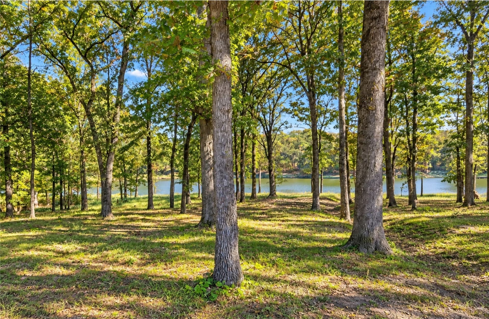 1.07 acres in Camp County