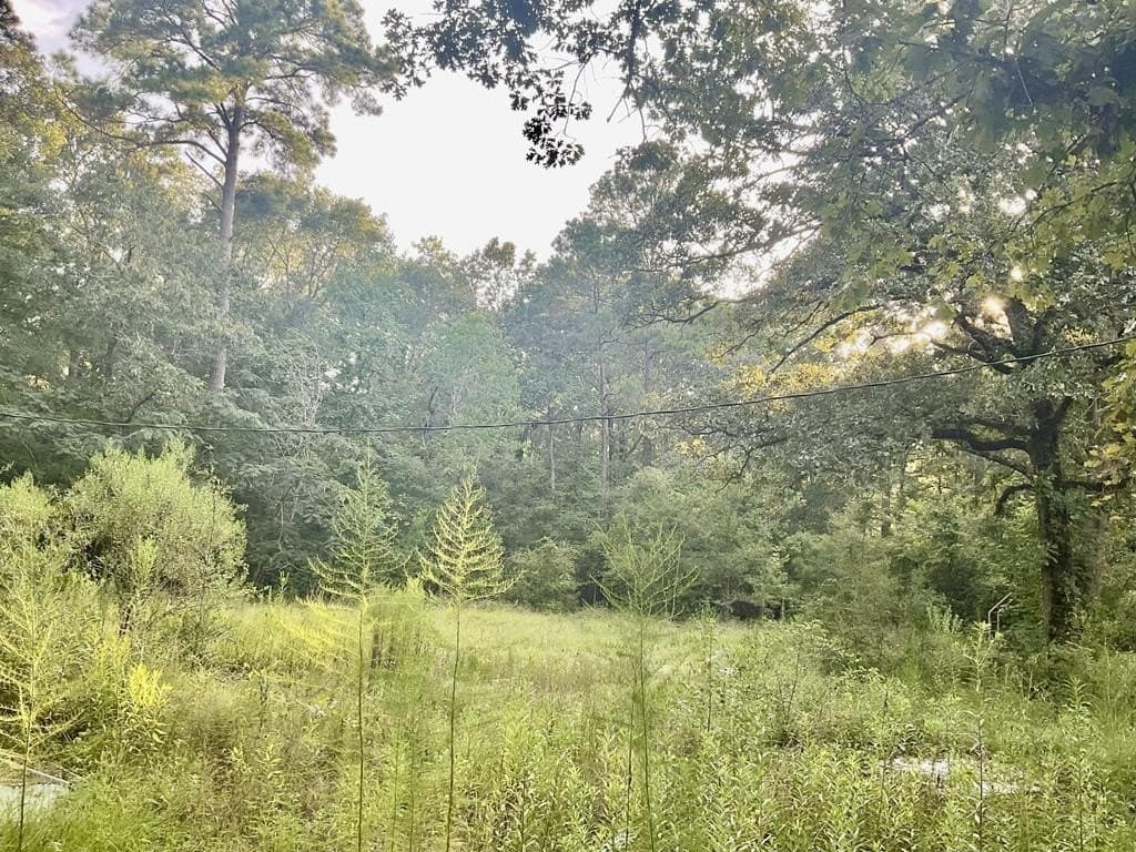 2.15 acres in Texas County