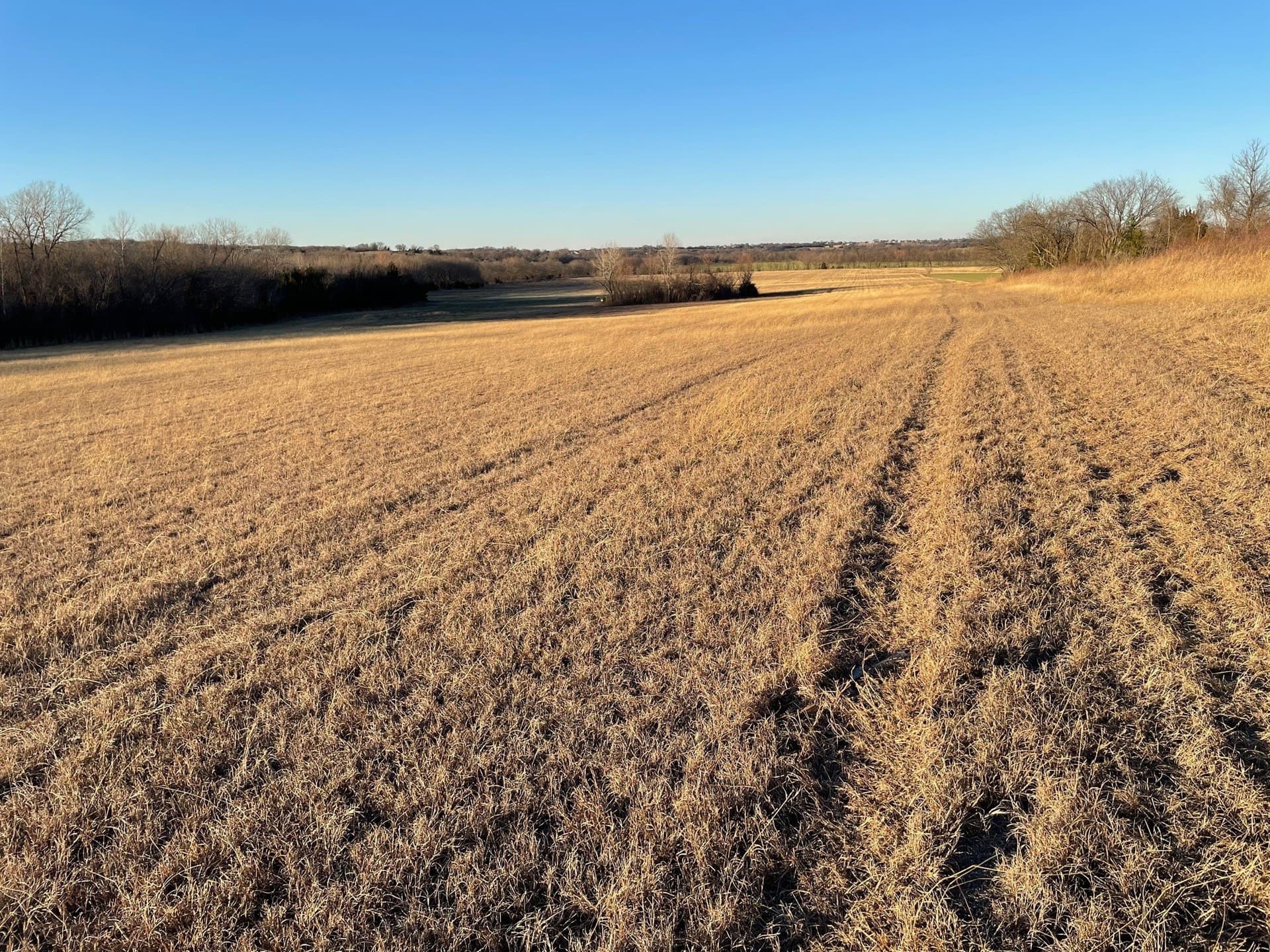 61.96 acres in Grayson County