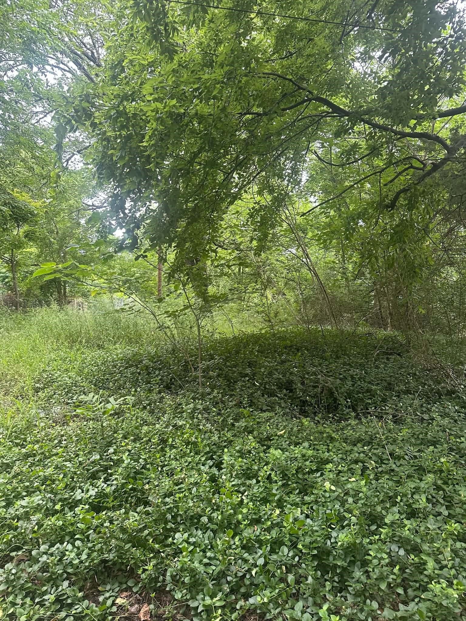 0.13 acres in Lamar County
