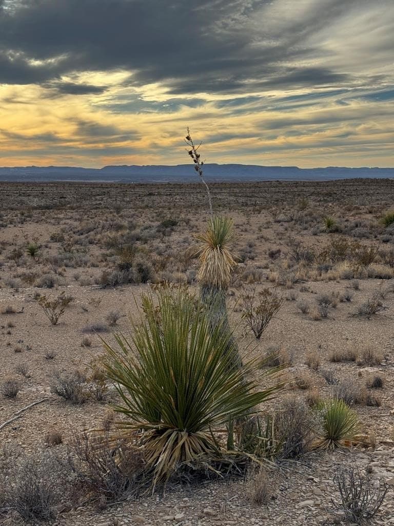20 acres in Brewster County