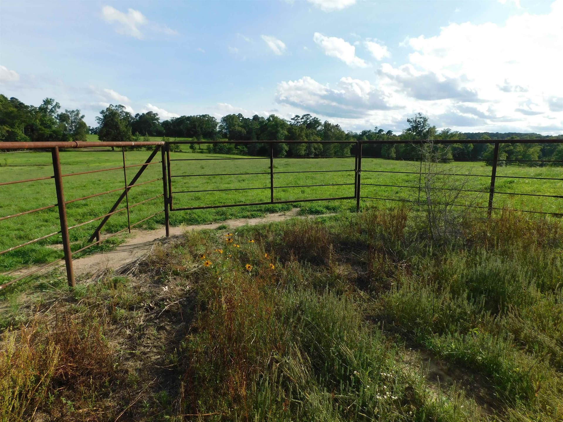 6.5 acres in Texas County