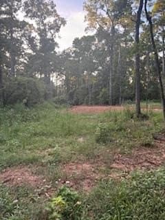 0.29 acres in Texas County
