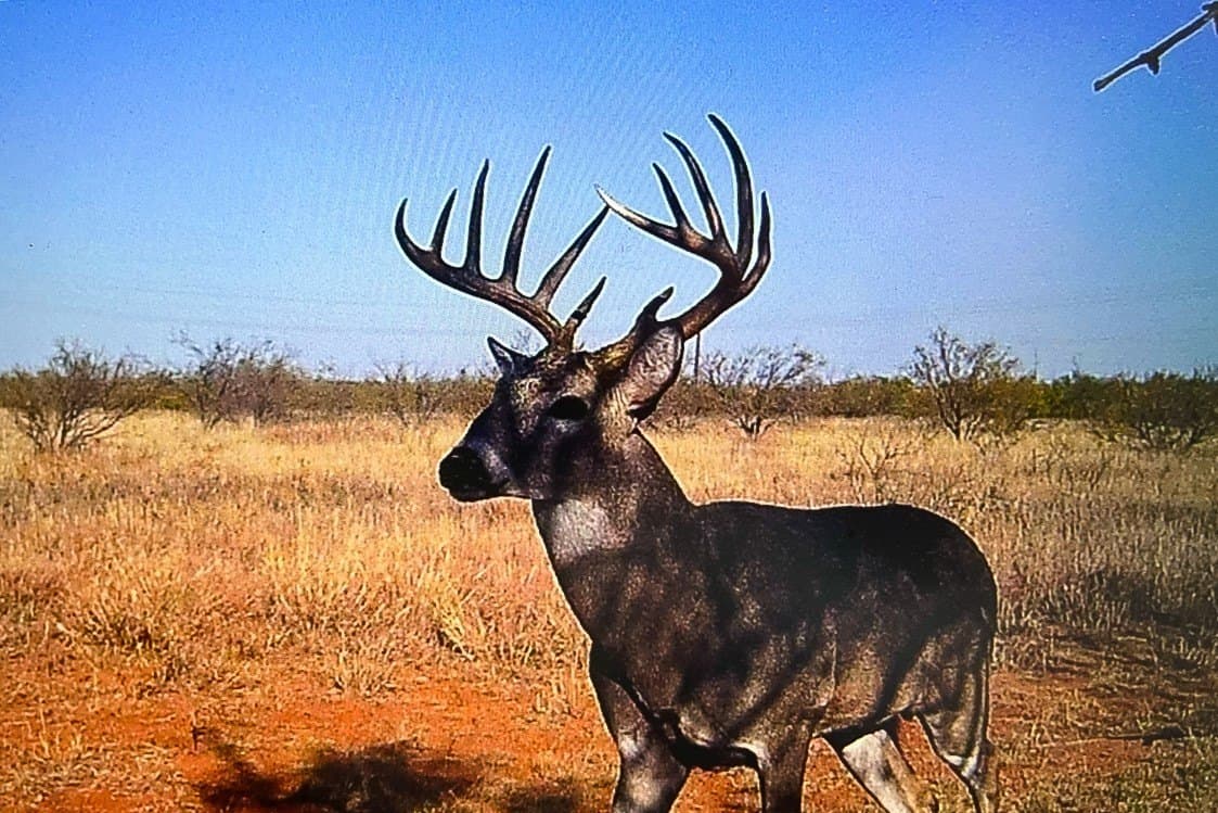 51.93 acres in Cottle County