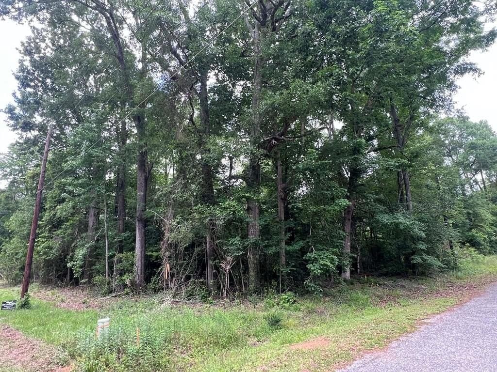 0.79 acres in Texas County